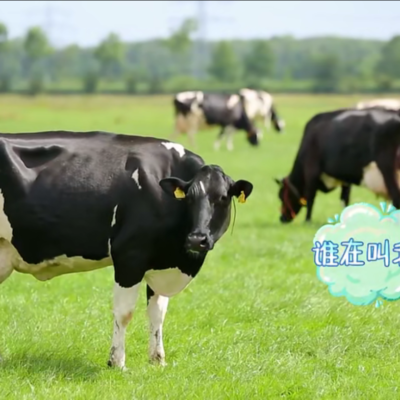 动物耳标糖心VLOG现在观看打标机在“放开我北鼻”，的出色表现